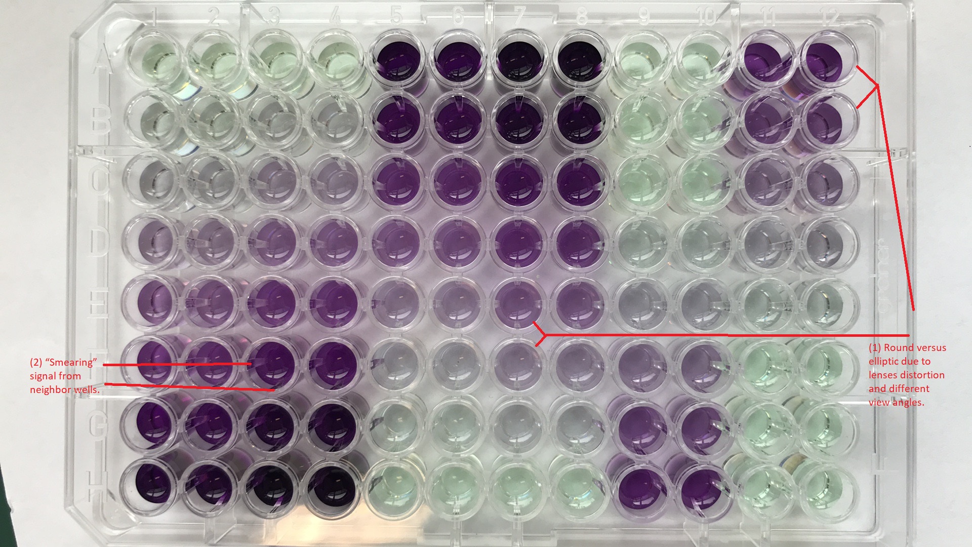 Spotxel® Microplate Reader Sicasys GmbH